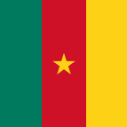/flags/camerun.png
